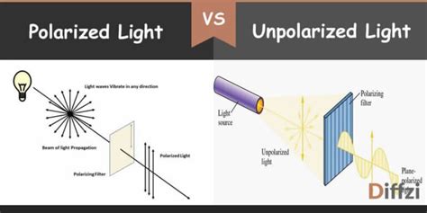 Polarized Light vs. Unpolarized Light – Diffzi