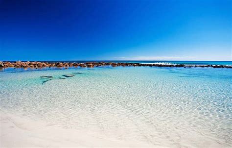 Milestone for SA Water’s Kangaroo Island desalination plant - Idadesal