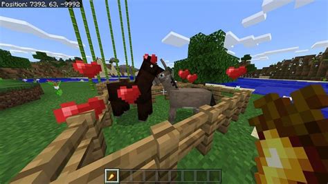 Mules in Minecraft: Spawning, Behavior & Drops