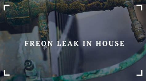 Freon Leak In House: Detection, Repair, and Prevention Guide