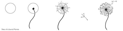 How to draw a dandelion: Easy dandelion drawing step by step tutorial