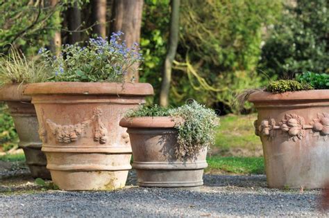 Terracotta pots in garden stock image. Image of plants - 91877565