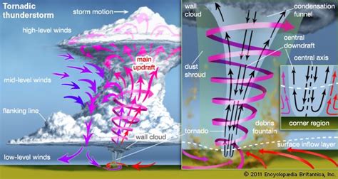 Downburst vs. tornado damage | Tornadoes, Weather science, Tornado