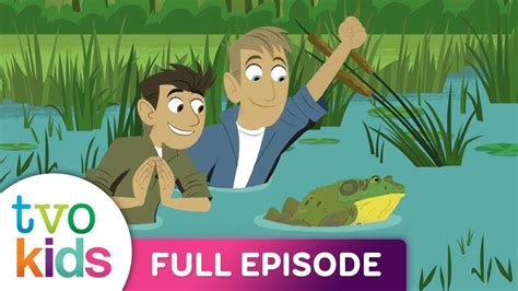 New Episodes Of Wild Kratts 2024 - Ediva Gwyneth