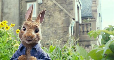 'Peter Rabbit': Review | Reviews | Screen