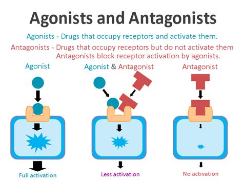 Agonist - PsychonautWiki