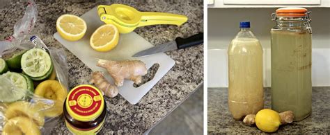 Fermented Drinks You Can Easily Make at Home: A Comprehensive Guide - FoodieScapes