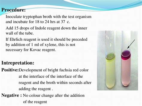 Biochemical reactions