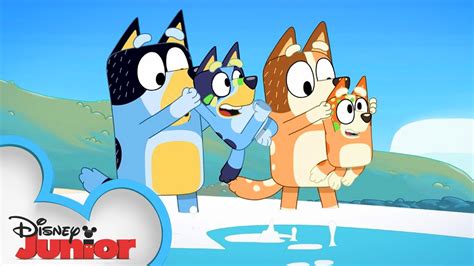 Can You Watch Bluey On Disney Plus