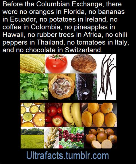 Columbian Exchange Food Map