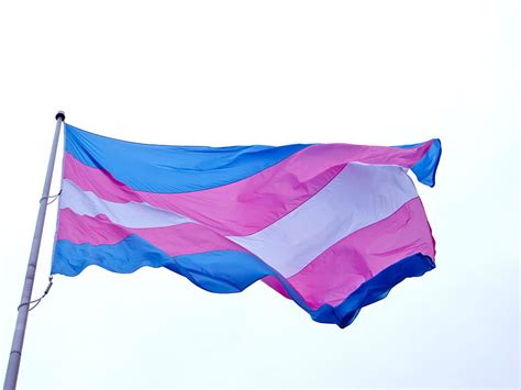 Sacramento district raises transgender pride flag | EdSource