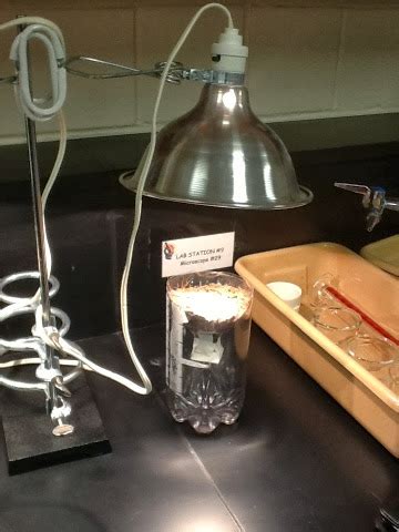 Soil Analysis Lab: Berlese Funnel