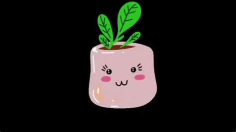 Plant Rosa GIF - Find & Share on GIPHY
