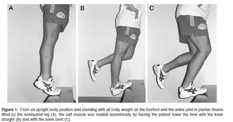 The role of eccentric exercise in sport injuries rehabilitation