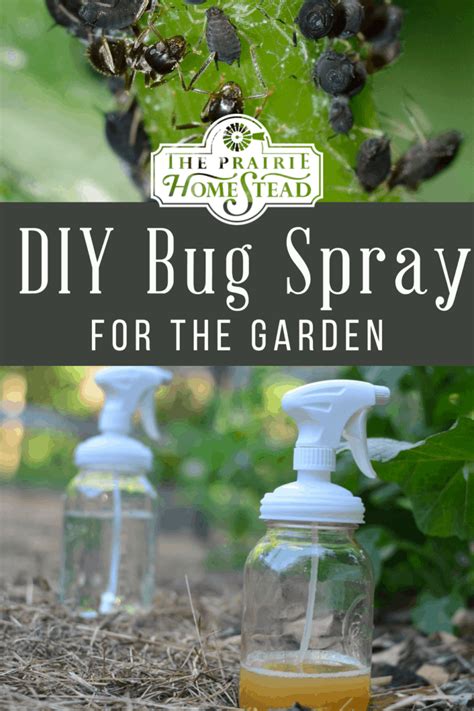 DIY Organic Aphid Spray Recipe for the Garden • The Prairie Homestead