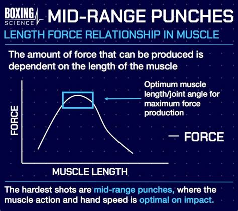 How to Improve Your Hook | Boxing Science