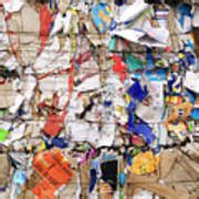 Paper Recycling Photograph by Lea Paterson/science Photo Library - Fine Art America