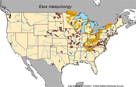 State Muskie Records: State by State Guide – Northern Pike Fishing Tips