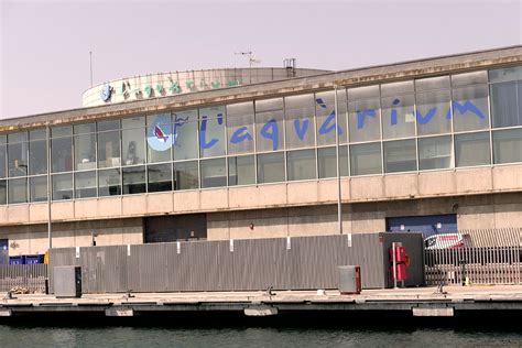 L’Aquarium de Barcelona – PortVell