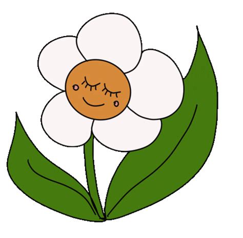 a white flower with green leaves and a smiling face