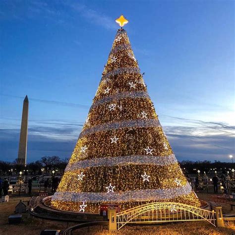 @wwwchris - Visitors at the National Christmas Tree on the National Mall - Free winter things to ...