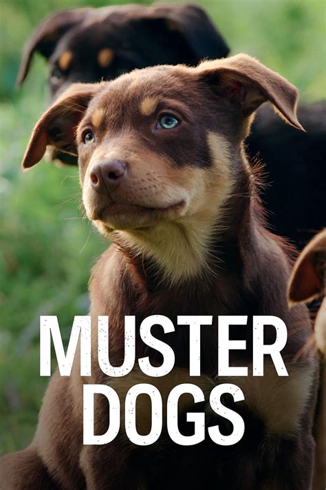 Muster Dogs (TV Mini Series 2022– ) - IMDb