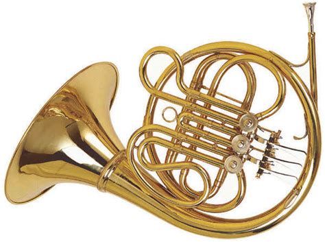 Brass instruments in the orchestra--the horn