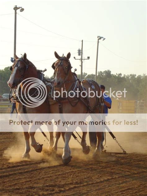 Horse Pull!! - The Horse Forum