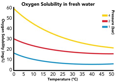 Dissolved Oxygen In Water: PPM For Fish | Atlas Scientific