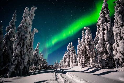 Once in a lifetime photographing tour in Lapland - Finland Holidays