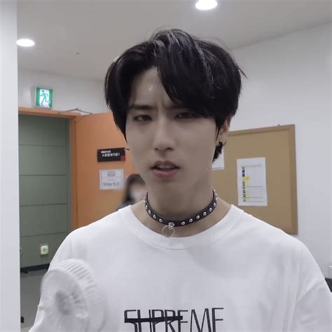 stray kids straykids skz han jisung quokka 3racha kpop bangchan leeknow ...