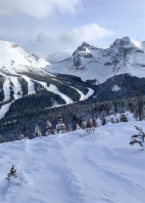 Ultimate Local’s Guide to Sunshine Village Ski Resort in Banff - The Banff Blog