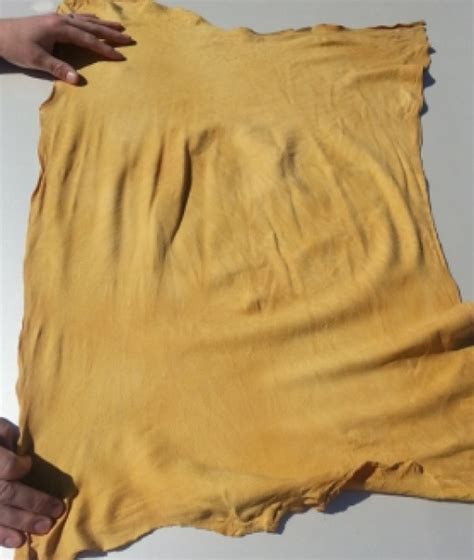 How to Care for Your Natural Chamois Leather Drying Cloth | HubPages