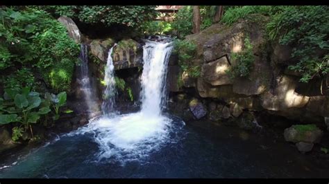 Parque Nacional Uruapan por Drone Phantom - YouTube