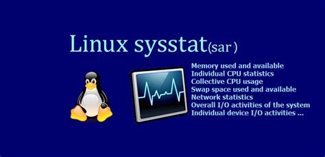 How To Use SAR To Monitor Linux System? SAR Examples And Usage - LookLinux