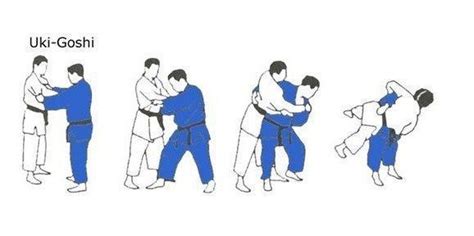 Pin on Jiu jitsu y judo