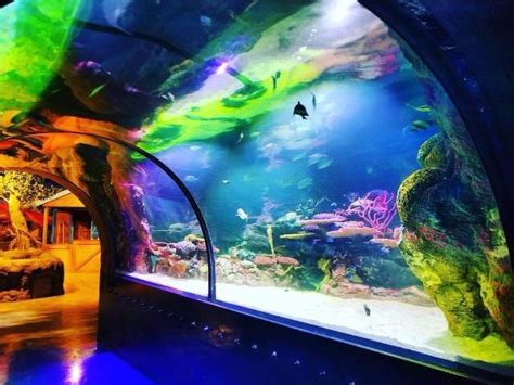 Shreveport Aquarium - 2020 All You Need to Know BEFORE You Go (with Photos) - Tripadvisor