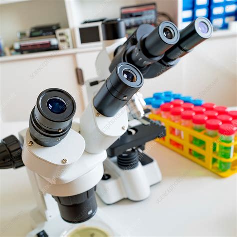 Laboratory microscope - Stock Image - F017/3205 - Science Photo Library