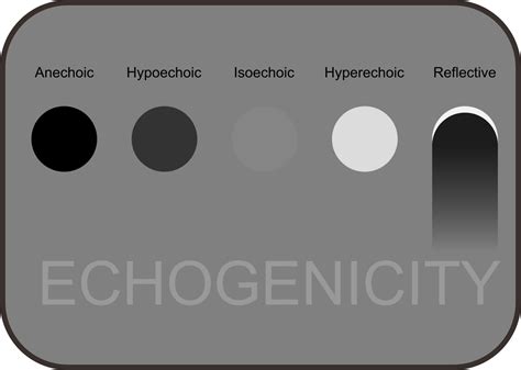 File:Ultrasound lesions shape.svg - Wikimedia Commons | Medical ...