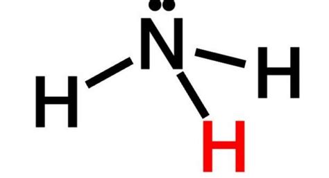 Does NH3 have Hydrogen Bonding - Techiescientist