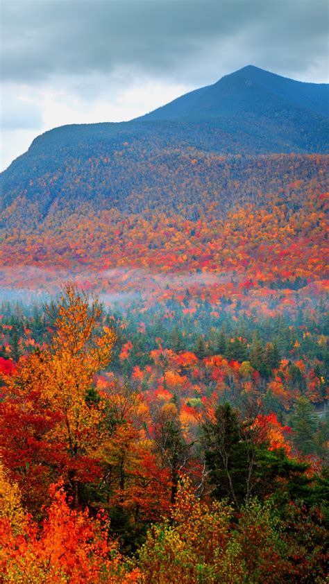 Autumn foliage fall in White Mountains National Forest, New Hampshire ...