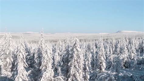 Hunting In The Russian Taiga – Global Bushlife