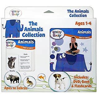 Buy Brainy Baby Animals Flash Cards, DVD and Board Book Apes to Zebras Collection Online @ ₹5207 ...