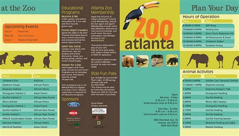 the zoo brochure is designed to look like it has animals and birds on it