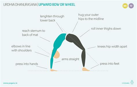 Dhanurasana Variations