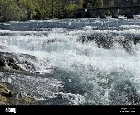 The Rhine Falls in German, Rheinfall, located in High Rhine is a waterfall located in ...