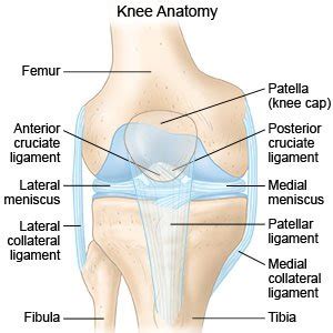 Knee Sprain - How to treat a sprained knee