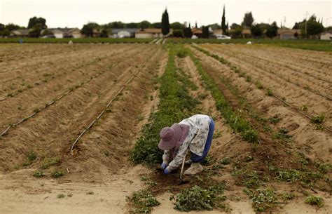 California Drought 2015: Californians Are Using Less Water, But Cuts ...