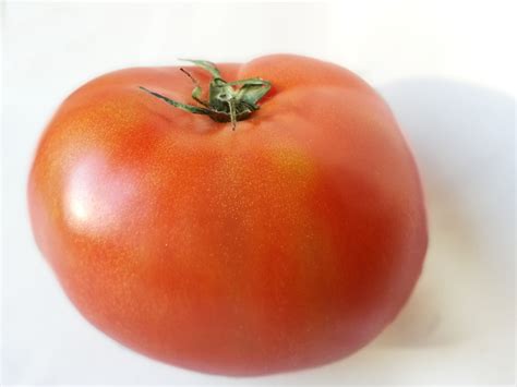 Tomato Free Stock Photo - Public Domain Pictures