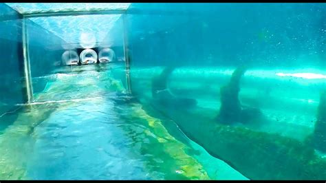 Serpent Slide : Water Slide - Atlantis (Paradise Island, Bahamas) - YouTube